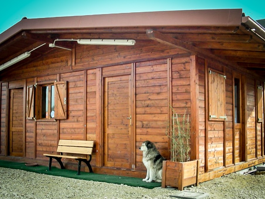 Fam alberoidea - case in legno cat B