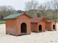 Fam-alberoidea cuccia-in-legno