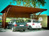 Fam-alberoidea carbox-in-legno