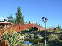 Fam-alberoidea ponte-in-legno