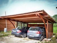 Fam-alberoidea carbox-in-legno